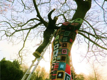 A tree with a 'yarn' to tell