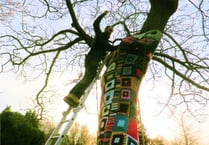 A tree with a 'yarn' to tell