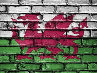 Prominent historian to hold local Welsh language lecture