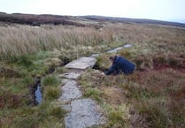 Vital work to Severn Way walk almost complete says Powys County Council
