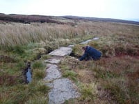 Vital work to Severn Way walk almost complete says Powys County Council