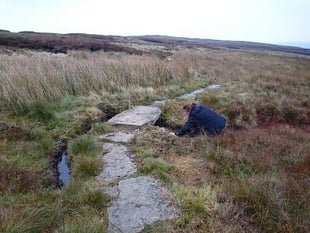 Vital work to Severn Way walk almost complete says Powys County Council