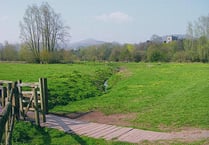 One hundredth tree to be planted to commemorate Abergavenny's war dead