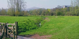 One hundredth tree to be planted to commemorate Abergavenny's war dead