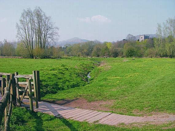 Learn more about Castle Meadows with free guided walk thanks to Friends group