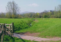 Learn more about Castle Meadows with free guided walk thanks to Friends group