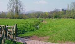 Learn more about Castle Meadows with free guided walk thanks to Friends group