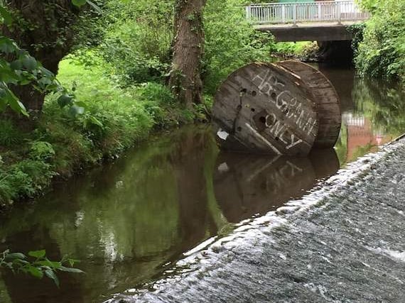 Swan Meadows Invaded By UWOs