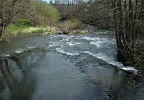 'Major pollution' in rivers following slurry incident near Abergavenny