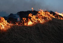 More than 700 grass fires reported in Gwent this summer