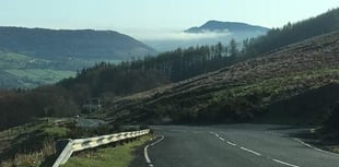 MCC and NRW address tree felling concerns from local residents