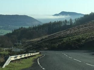 MCC and NRW address tree felling concerns from local residents