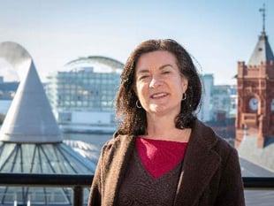 Views sought on future of Welsh language ‘infrastructure’