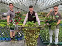 Garden centre blooming back after lockdown