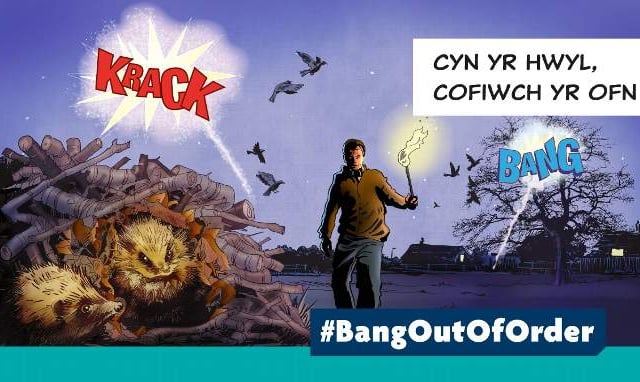Plea for people to be considerate this Bonfire Night