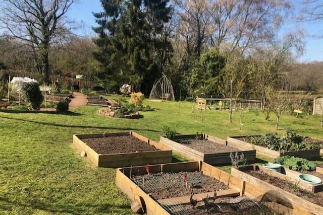 Green-fingered volunteers win Green Flag awards for efforts