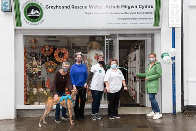 Greyhound trust hot sale shop