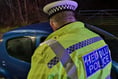 Gran-chase burglar facing long jail term