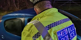 Gran-chase burglar facing long jail term