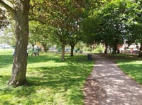 Trees in Bailey Park to be felled for safety reasons