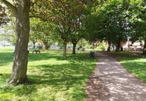 Trees in Bailey Park to be felled for safety reasons