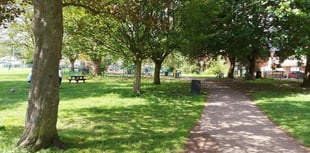 Trees in Bailey Park to be felled for safety reasons