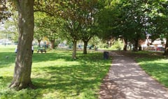 Trees in Bailey Park to be felled for safety reasons