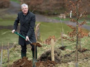 First Minister announces commemorative woodlands in memory of Covid victims