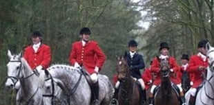 Charity calls to cancel ‘barbaric’ hunting license on Sugar Loaf