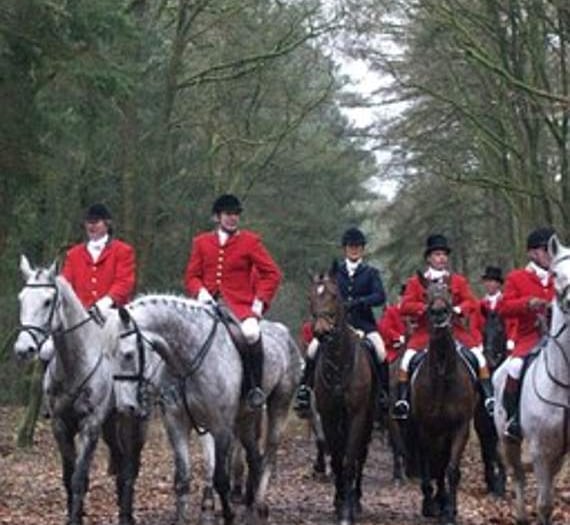 Charity calls to cancel ‘barbaric’ hunting license on Sugar Loaf