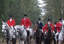 Charity calls to cancel ‘barbaric’ hunting license on Sugar Loaf