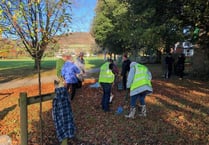 New bulbs planted in Bailey Park