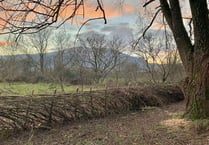 Community orchard marks 10 years