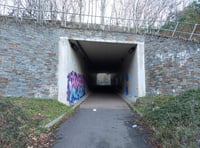 Petition launched for street art wall