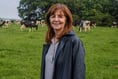 Payments made to 93 per cent of farmers in BPS scheme