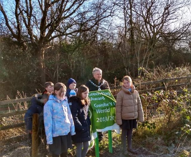 Woodland corridor enhances meadow