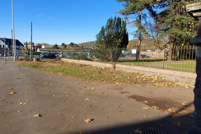 Bailey Park after some of the trees were taken down