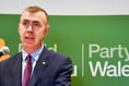 Plaid Cymru must 'detoxify' following damning report
