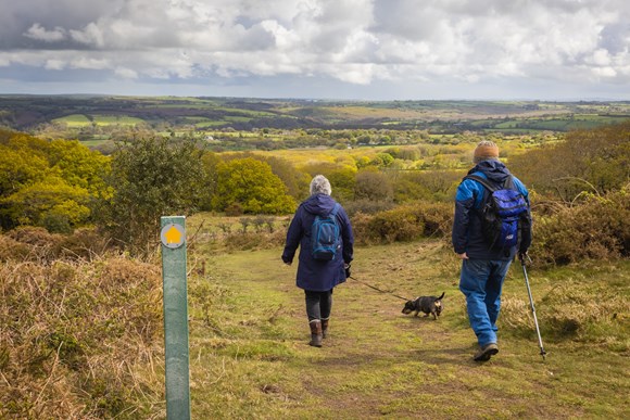 New guidance has been set out for land managers