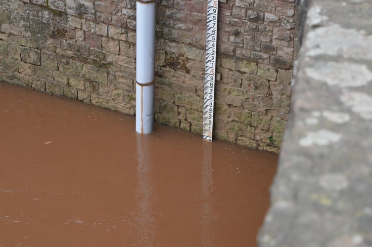 River Monnow at 3m - February 16, 2022.