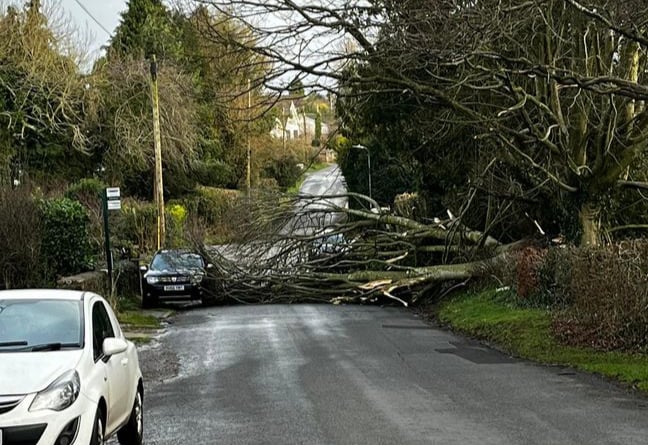 Tree blocks Penallt road.