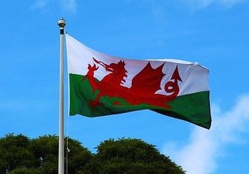 VIDEO: Happy St David's Day from the Borough and Melville 