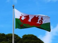 VIDEO: Happy St David's Day from the Borough and Melville 