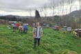 Farmer’s orchard is home to unusual fruit with rude name!