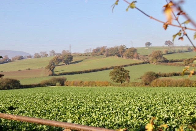 Farm