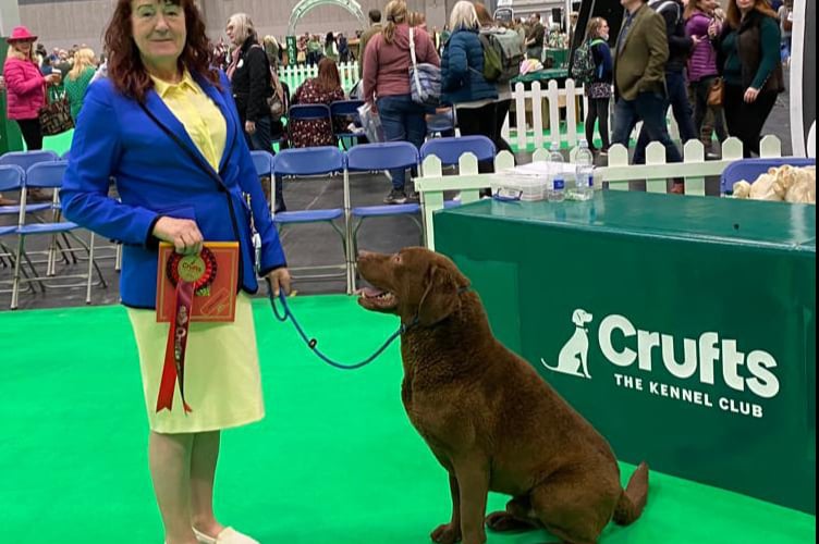 Crufts