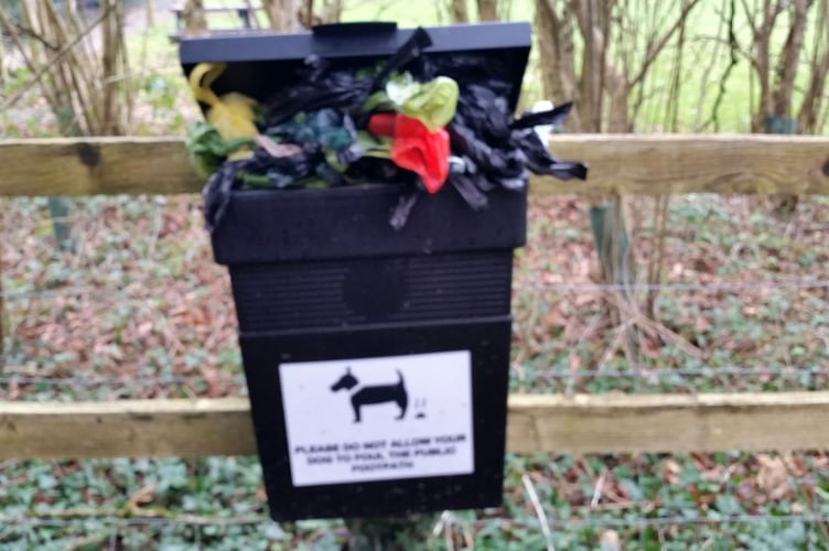 dog poo bin