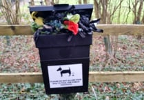 Council considering proposals to reduce dog fouling in Monmouthshire