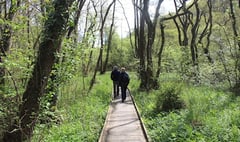 Abergavenny nature reserve walk amongst the best in country