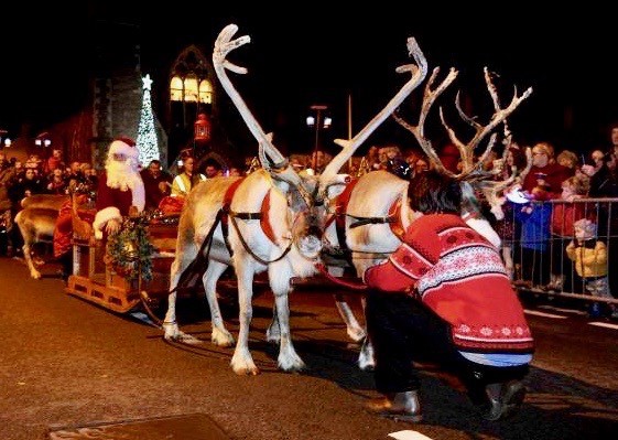 Reindeer parade usk